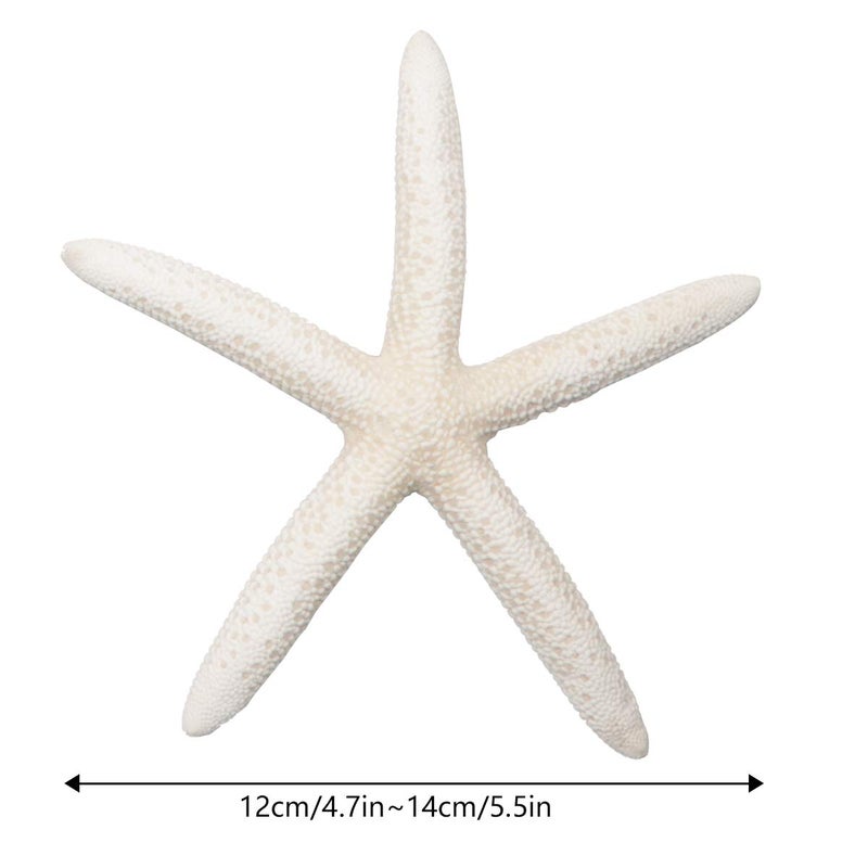 Jangostor 5 PCS Starfish 4-6 Inch Ocean Beach Starfish Natural Colorful Seashells Starfish Perfect for Wedding Decor Beach Theme Party, Home Decorations,DIY Crafts, Fish Tank - Image 3